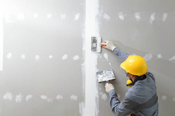 Reliable Corsicana, TX Mold Removal Solutions